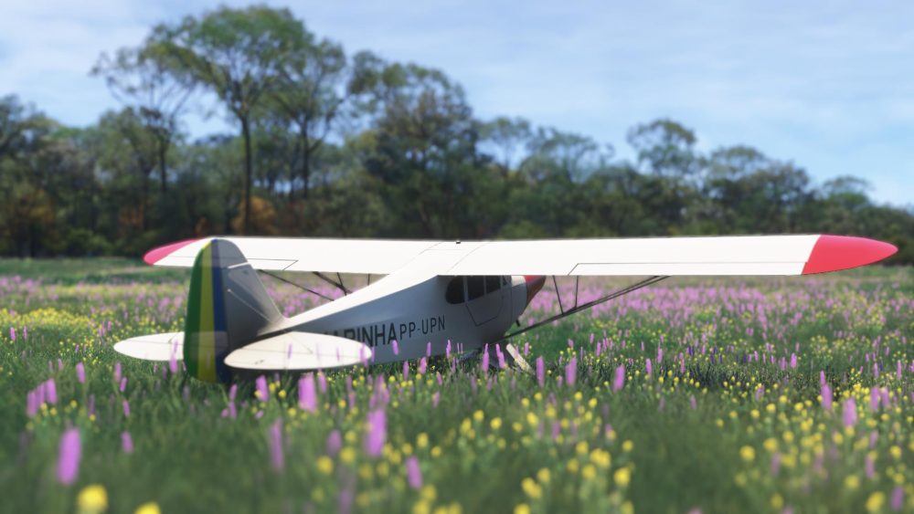 Flying Smooth or Stuttering: MSFS 2024  Ready to Replace 2020?